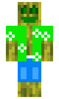 d221e4e7ecc549 minecraft skin