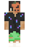 d227a51d649b0d minecraft skin