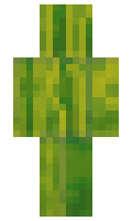 MagicMistfit minecraft skin