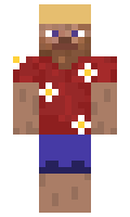 d275080ac85979 minecraft skin