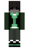 d2806d0fc8a2e4 minecraft skin