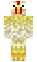 ADDRESS minecraft skin