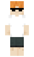 RPirate minecraft skin