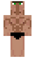 TERMIX minecraft skin