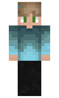 minifreunde minecraft skin