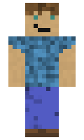 talpolo minecraft skin