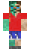 d2d6f9f07b9b2c minecraft skin