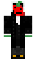 d2f27453bf35e3 minecraft skin