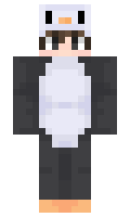 PINgVIN218 minecraft skin