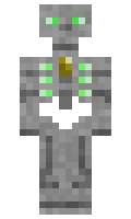 d317847cfecc10 minecraft skin