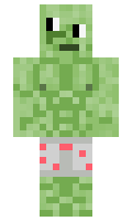 d349519a277480 minecraft skin