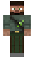 crafts minecraft skin