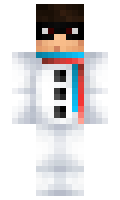yayeet minecraft skin