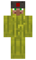 d36a69ec18c15d minecraft skin