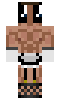 PandaShmam minecraft skin