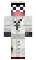d393d9d8d52895 minecraft skin