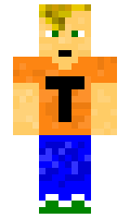 d39e94ffa5bf41 minecraft skin