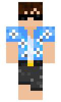 00110000 minecraft skin