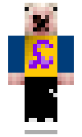 d3a8061fed20f9 minecraft skin