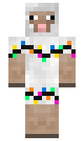 d3ab9763cdcfb8 minecraft skin