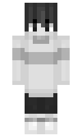 d3b6522f045979 minecraft skin