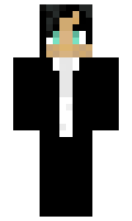 d3bb4c926f95df minecraft skin