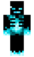 9764 minecraft skin