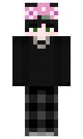 d3eb2442cfae5c minecraft skin