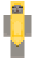 Vertellen minecraft skin
