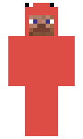 ValidAlliance minecraft skin