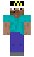 d40698b24f0a5f minecraft skin