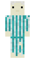 MorgzExoticCarts minecraft skin