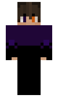 d424c166adc4a8 minecraft skin