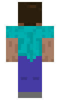 d441e0372fb648 minecraft skin