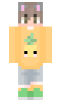 d47cd9e25b0338 minecraft skin