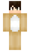 Dish minecraft skin