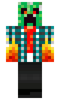 TMPlace55 minecraft skin