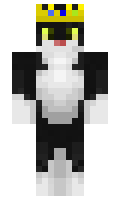 drunya minecraft skin