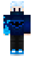 Dikobraz minecraft skin