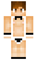 d4f386a633293f minecraft skin