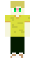 d4f415d16dbd7b minecraft skin