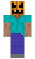 d4fcd40f164777 minecraft skin