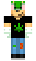 octn minecraft skin