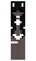 d520277da042d1 minecraft skin