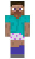 d528587e22d7c0 minecraft skin