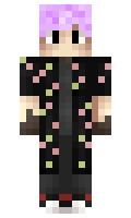 d533e9f33f453f minecraft skin