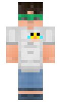 d53d95446a4d2d minecraft skin