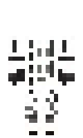 Monochl minecraft skin