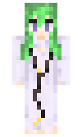 d55118c024400d minecraft skin