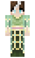 d571a093352f73 minecraft skin